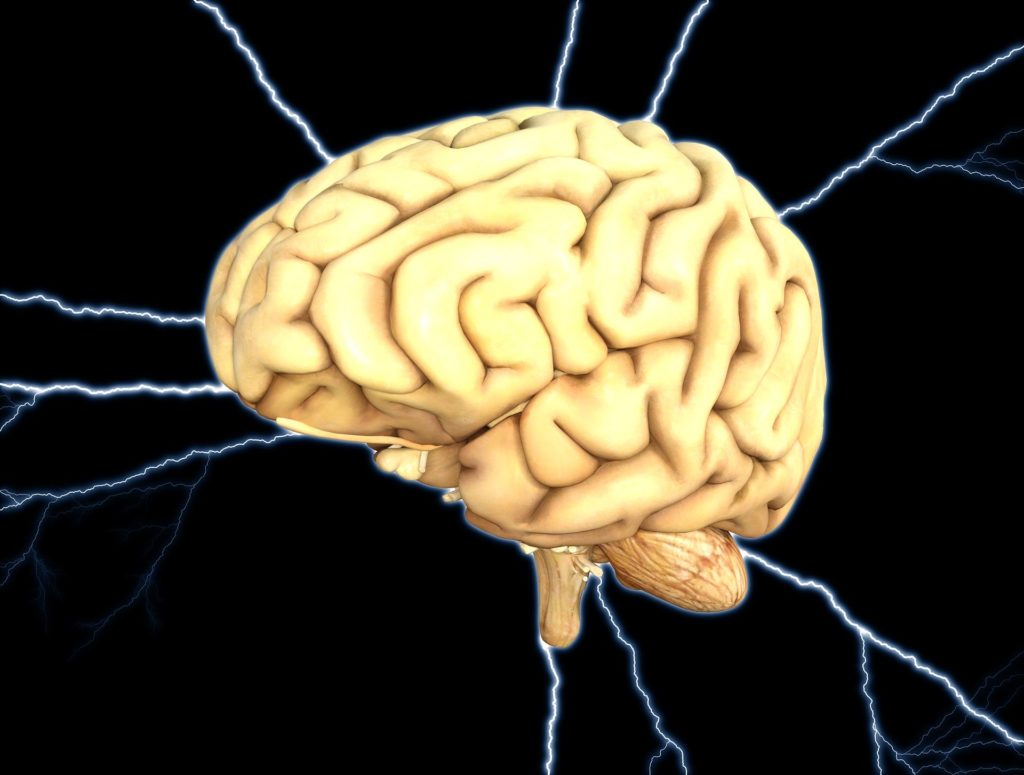 Das menschliche Gehirn und Hypnose